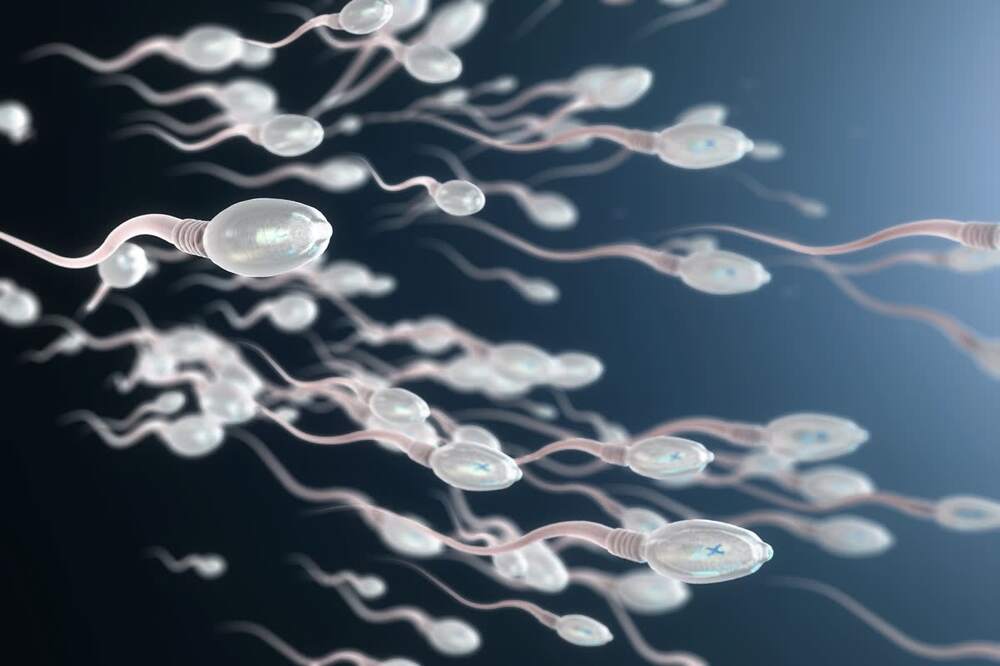 Does Sperm Carry HPV Virus?