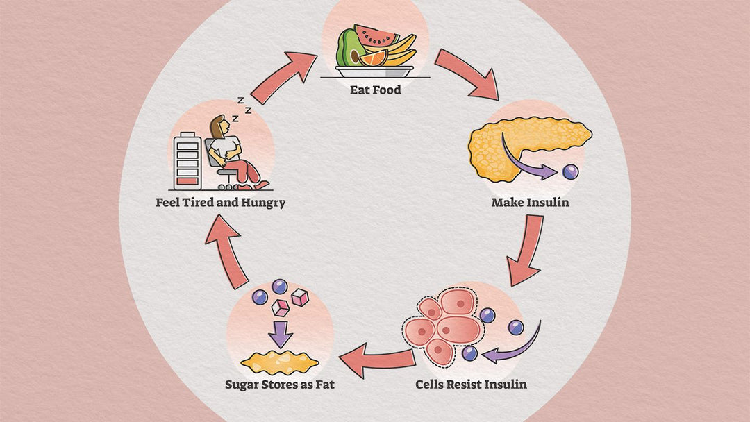 AHCC for Insulin Resistance