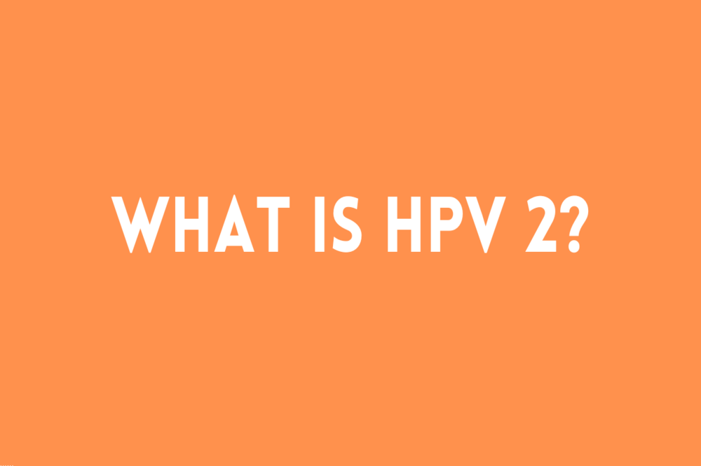 What is HPV Type 2?