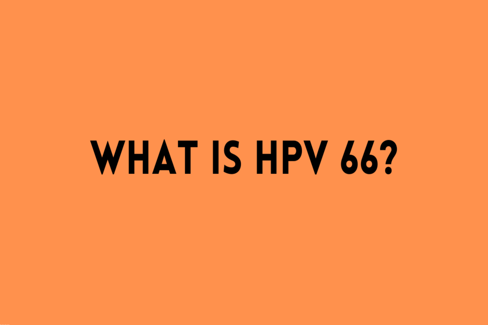 What is HPV Type 66?