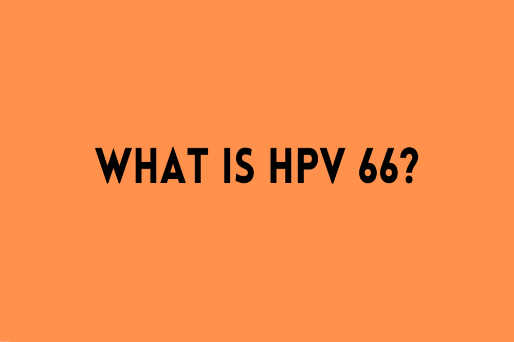 what is hpv 66